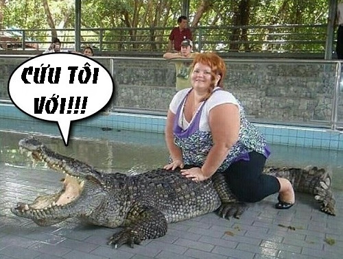 Cá sấu và người đẹp ngàn cân.