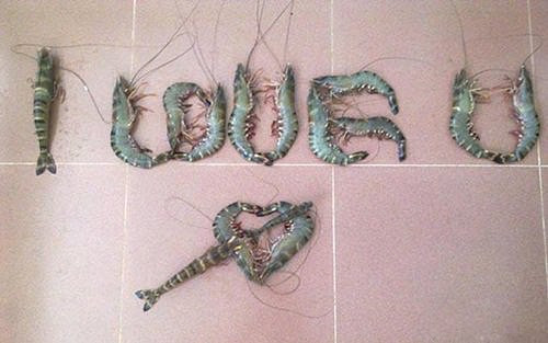 Những cách thể hiện tình yêu ’siêu độc’ của các chàng trai Việt ảnh 14 Những cách thể hiện tình yêu ’siêu độc’ của các chàng trai Việt - Hình 14