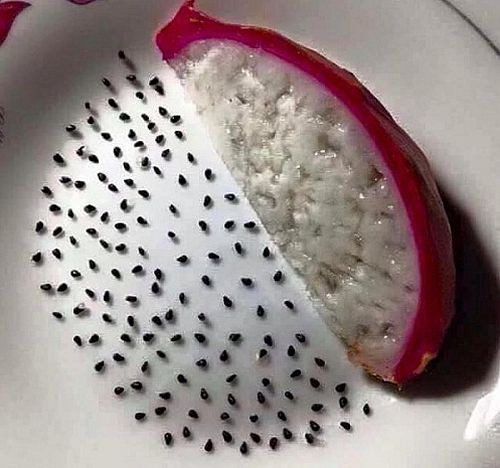 Những cách thể hiện tình yêu ’siêu độc’ của các chàng trai Việt ảnh 5 Những cách thể hiện tình yêu ’siêu độc’ của các chàng trai Việt - Hình 5