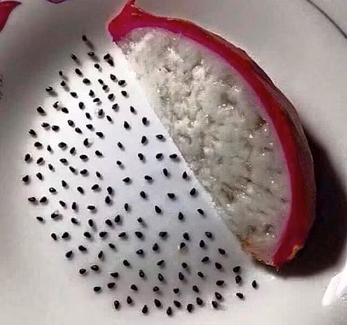 Những cách thể hiện tình yêu ’siêu độc’ của các chàng trai Việt ảnh 5 Những cách thể hiện tình yêu ’siêu độc’ của các chàng trai Việt - Hình 5