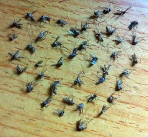 Những cách thể hiện tình yêu ’siêu độc’ của các chàng trai Việt ảnh 6 Những cách thể hiện tình yêu ’siêu độc’ của các chàng trai Việt - Hình 6