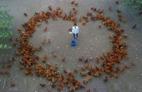 Những cách thể hiện tình yêu ’siêu độc’ của các chàng trai Việt ảnh 1 Những cách thể hiện tình yêu ’siêu độc’ của các chàng trai Việt - Hình 1