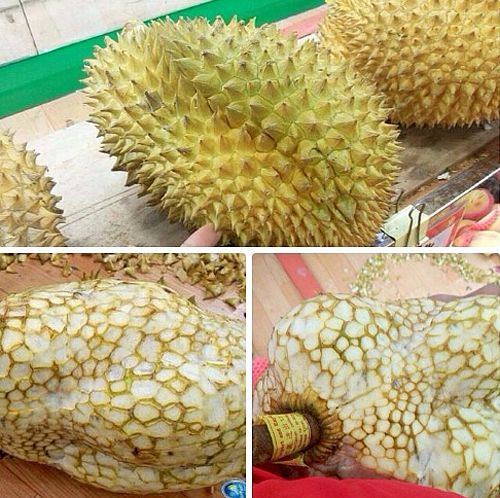 Những cách thể hiện tình yêu ’siêu độc’ của các chàng trai Việt ảnh 10 Những cách thể hiện tình yêu ’siêu độc’ của các chàng trai Việt - Hình 10