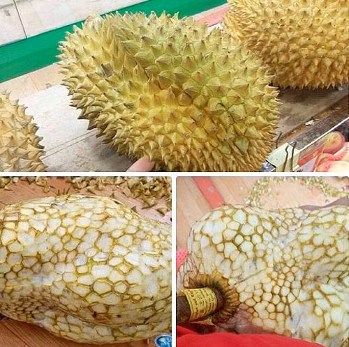 Những cách thể hiện tình yêu ’siêu độc’ của các chàng trai Việt ảnh 10 Những cách thể hiện tình yêu ’siêu độc’ của các chàng trai Việt - Hình 10