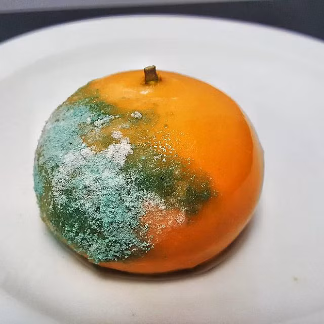 Chùm ảnh: Nhìn vậy mà không phải vậy, trông thì hoang mang thật đấy nhưng đều là những món tráng miệng ngon lành - Hình 8