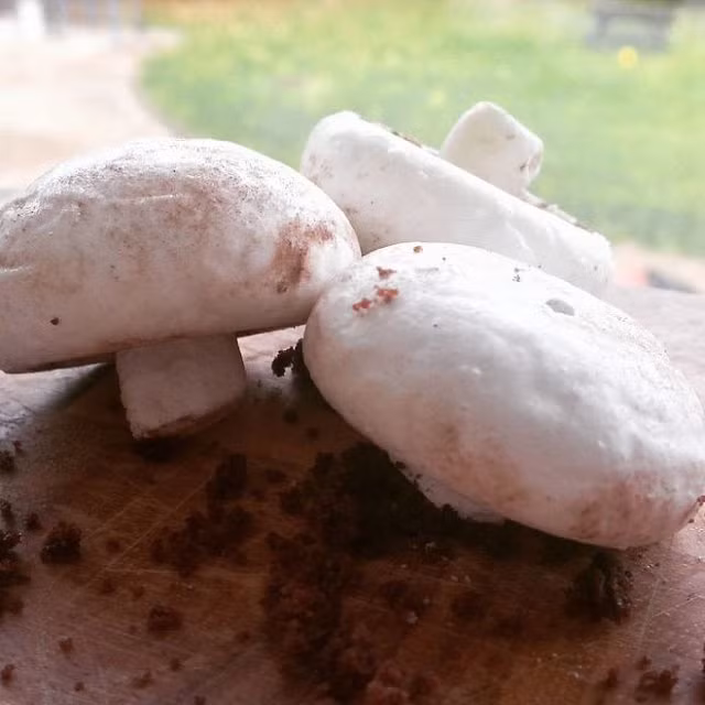 Chùm ảnh: Nhìn vậy mà không phải vậy, trông thì hoang mang thật đấy nhưng đều là những món tráng miệng ngon lành - Hình 4