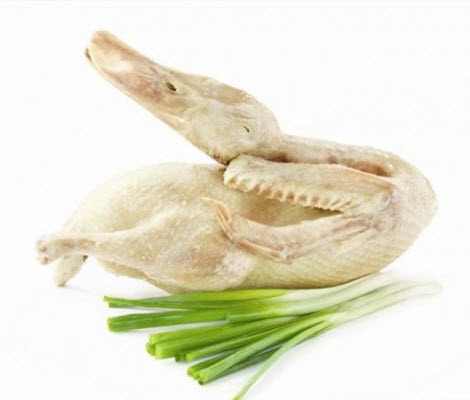 Vịt có đàn hồi tốt.