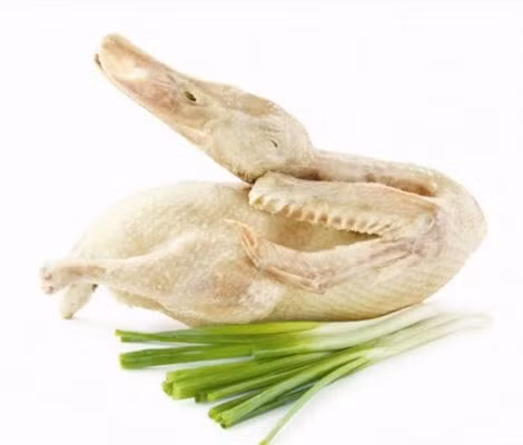 Vịt có đàn hồi tốt.