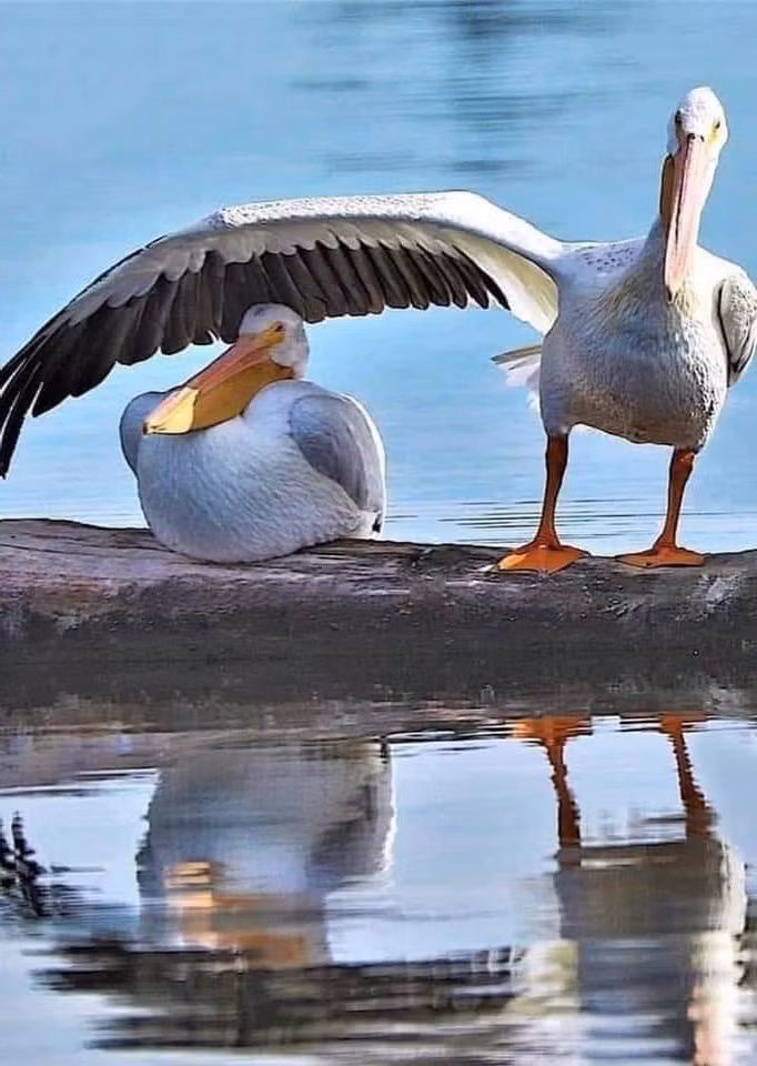 Khi bạn hờn cả thế giới nhưng vẫn muốn được che chở.