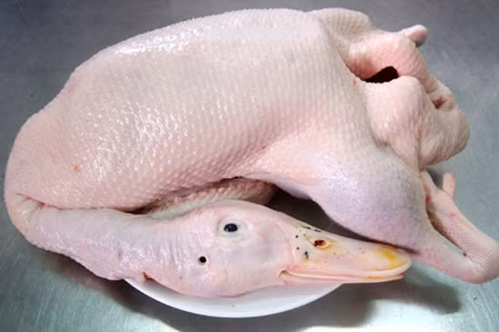 Chọn vịt săn chắc