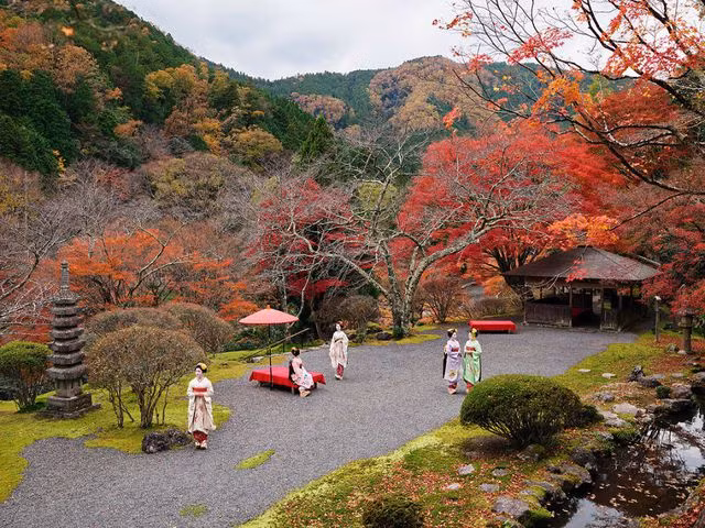 Ảnh đan lưới tại Việt Nam lọt top 10 tại cuộc thi ảnh quốc tế - 9