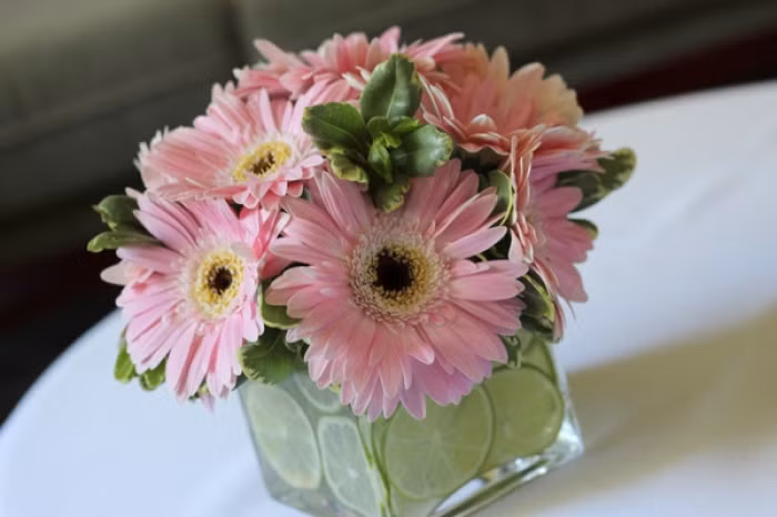 3 cách cắm hoa đẹp bằng bình vuông nhất định bạn nên thử