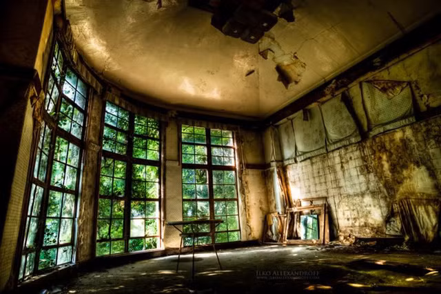 Thiên nhiên đã xâm lấn khiến công trình xuống cấp trầm trọng