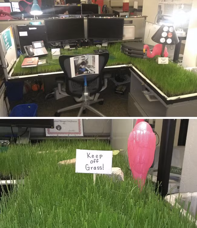 hinh anh kho do khi "dot nhap" van phong cua dan cong so hinh anh 11