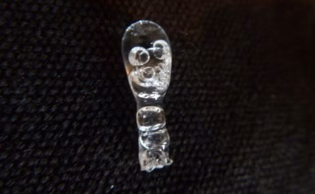 Vừa “dị” vừa xấu, không hiểu sao 4 mặt hàng này lại có giá cao không tưởng ảnh 4