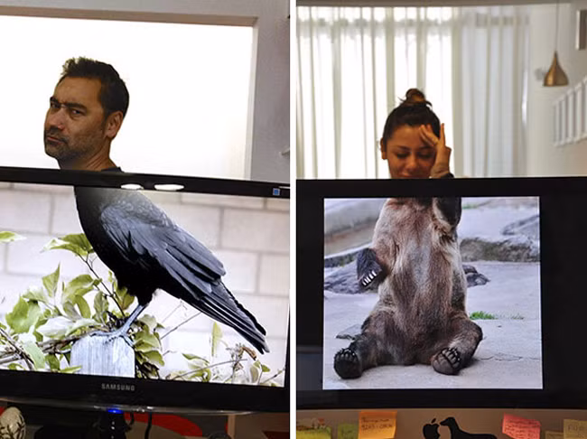 hinh anh kho do khi "dot nhap" van phong cua dan cong so hinh anh 12