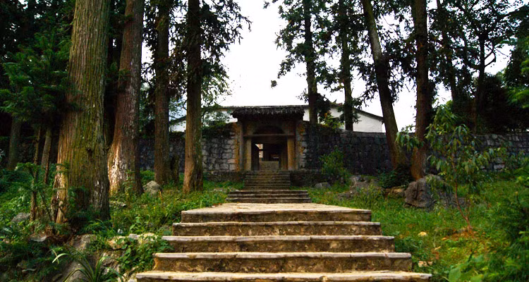 Hàng sa mộc 2 bên lối cầu thang lên nhà của Vương.