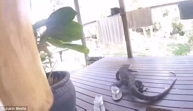 chay mat dep khi ky da khong lo lao nhu chop doi vao nha hinh anh 2