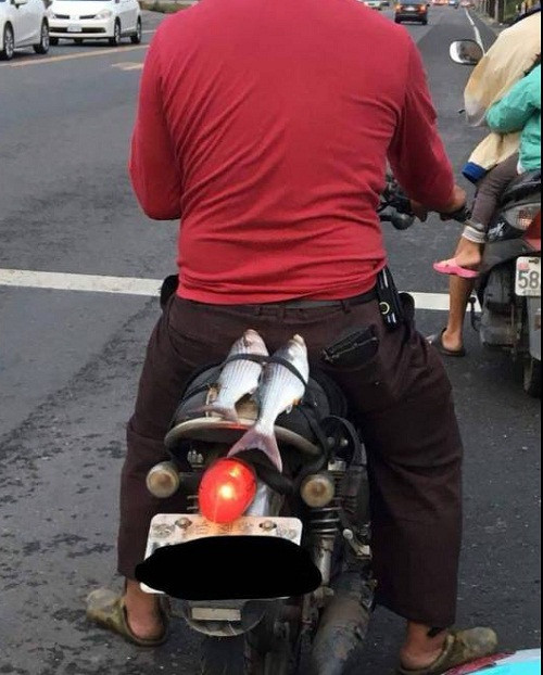 Một buổi đi câu bội thu. Một buổi đi câu bội thu.