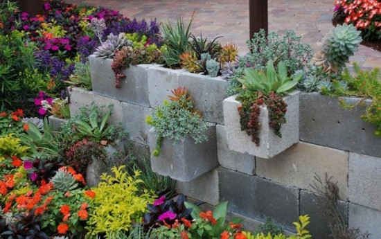 cách trồng cây trong nhà