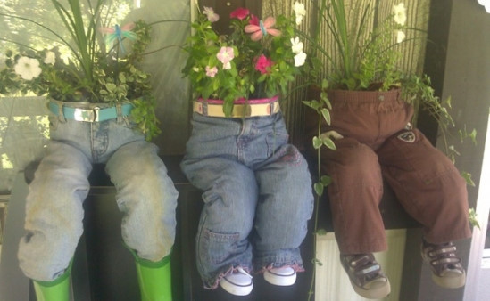 trồng cây với quần bỏ đi