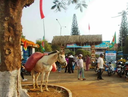 Tái hiện lễ hội của tình đoàn kết Kinh - Thượng