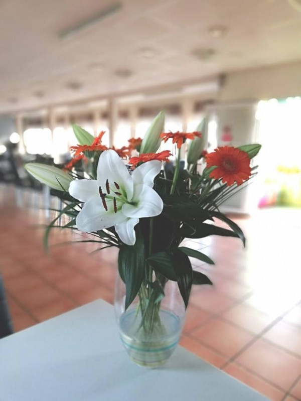 5 loại hoa tặng mẹ ngày 20/10 cực đẹp và ý nghĩa ảnh 2 5 loại hoa tặng mẹ ngày 20/10 cực đẹp và ý nghĩa 2