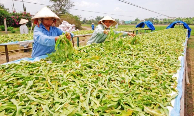 Phát triển nông nghiệp hữu cơ là mục tiêu quan trọng trong thời gian tới