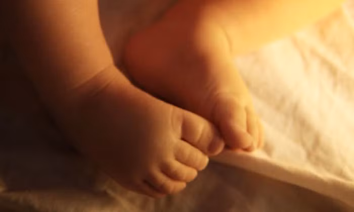 nhung em be duoc sinh ra tu nguoi me da qua doi 3