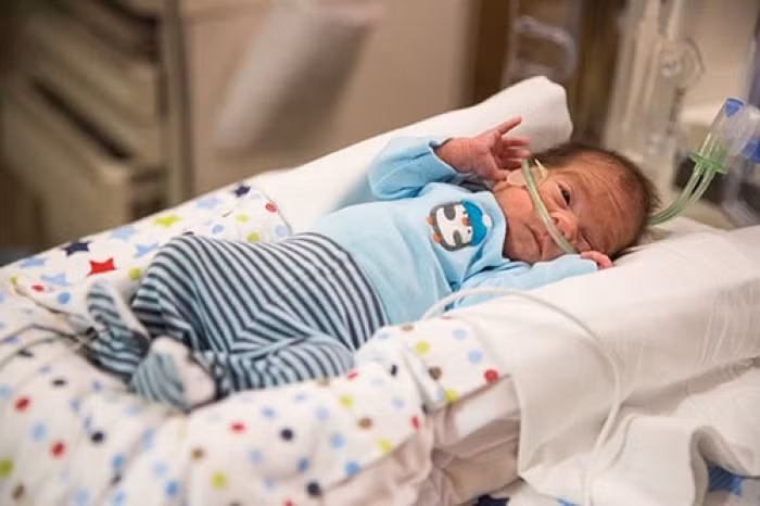 nhung em be duoc sinh ra tu nguoi me da qua doi 1