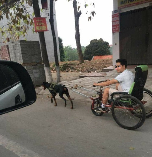 Động cơ một cẩu lực.