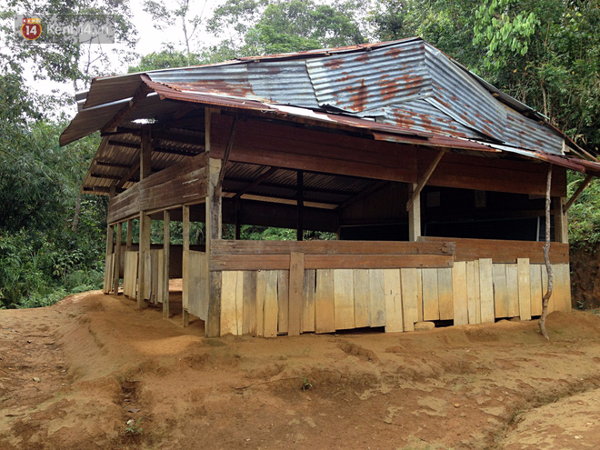 Thương lũ trẻ co ro trong lớp học chuồng heo, chàng kĩ sư điện ở Đà Nẵng suốt 6 năm miệt mài kêu gọi xây 7 ngôi trường vùng cao - Ảnh 2. Thương lũ trẻ co ro trong lớp học chuồng heo, chàng kĩ sư điện ở Đà Nẵng suốt 6 năm miệt mài kêu gọi xây 7 ngôi trường vùng cao - Ảnh 2.