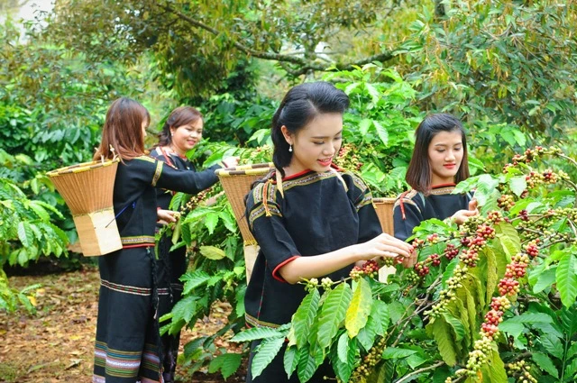 Tỷ lệ hộ nghèo ở Việt Nam giảm mạnh