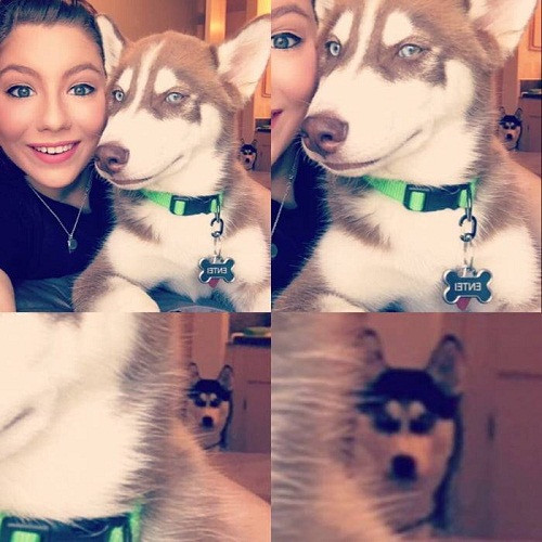 Một người lặng lẽ buồn hiu đứng nhìn.