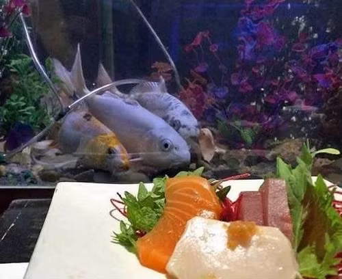 Phim kinh dị của loài cá.