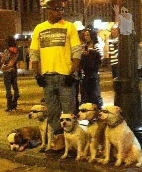 Khi đại ca xuống phố.