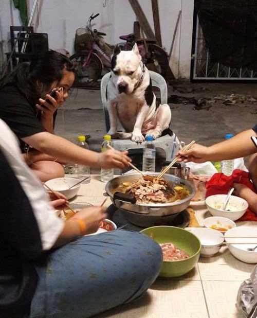 Miếng ăn là miếng tồi tàn.