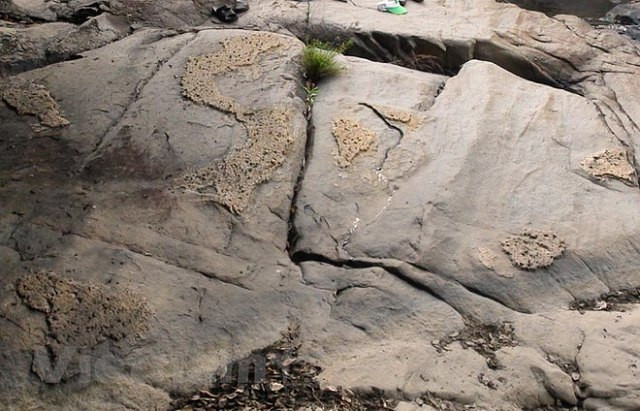 Phiến đá nổi lên hình ảnh về bản đồ Việt Nam ảnh 1 Phát hiện phiến đá nổi lên hình ảnh về bản đồ Việt Nam - Hình 1