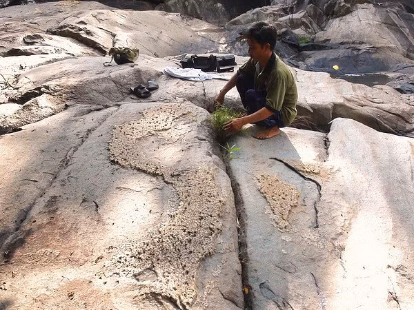 Phát hiện phiến đá nổi lên hình ảnh về bản đồ Việt Nam - Hình 3