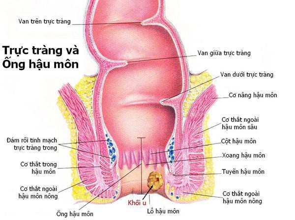 Dấu hiệu nhận biết sớm ung thư hậu môn - bệnh ung thư hiếm gặp đe dọa mạng sống của nhiều người nổi tiếng - Ảnh 5. Dấu hiệu nhận biết sớm ung thư hậu môn - bệnh ung thư hiếm gặp đe dọa mạng sống của nhiều người nổi tiếng - Ảnh 5.