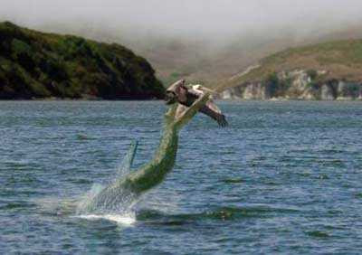 Con Plesiosauria chộp bắt một con chim. (Ảnh: signosaurus).
