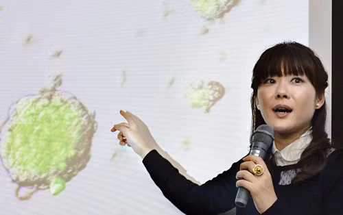 Haruko Obokata trình bày nghiên cứu hồi tháng một năm ngoái.