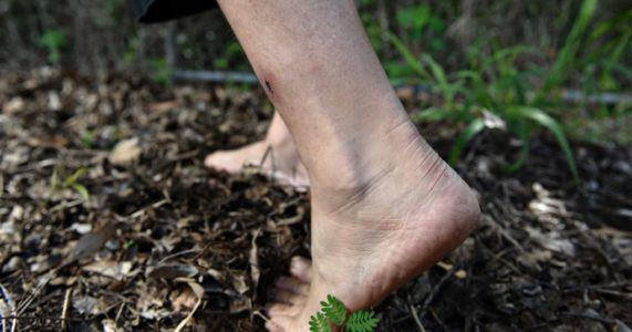 whitmore-3 whitmore-3