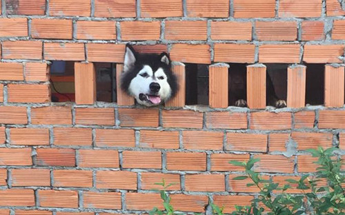 Tôi là ai? Đây là đâu?