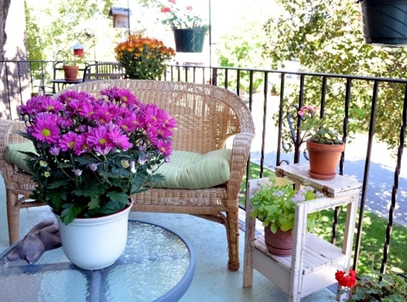 Hàng xóm,Mẹ chồng,Nghỉ hè,Nuôi dạy con