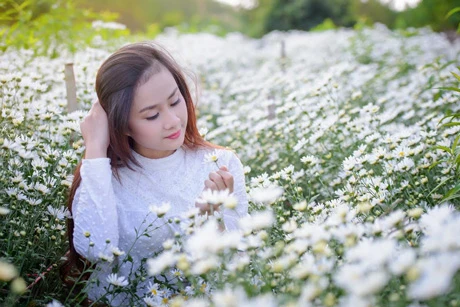Nữ sinh trong veo, thanh lịch bên cúc họa mi
