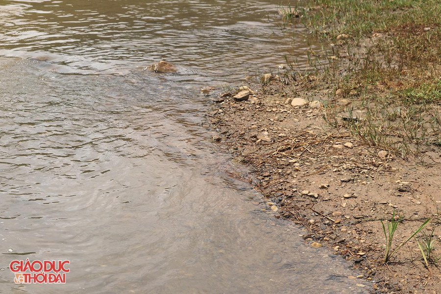 Bờ sông không còn màu đỏ gạch của bùn.