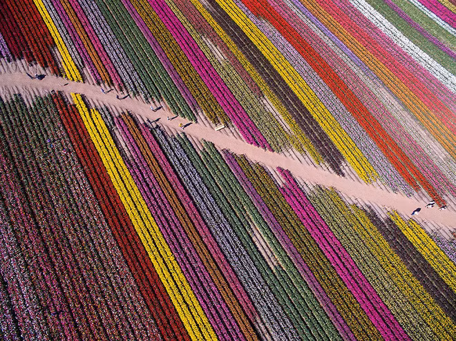 Những bức ảnh khiến bạn ngỡ như mình đi lạc vào hành tinh khác - Ảnh 4.