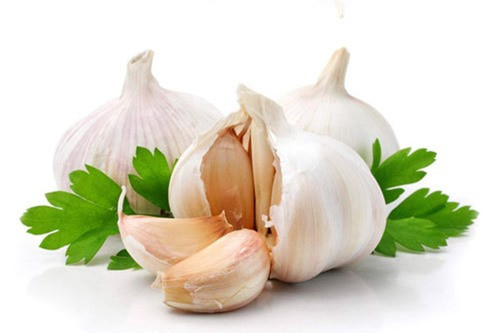 Tỏi toi