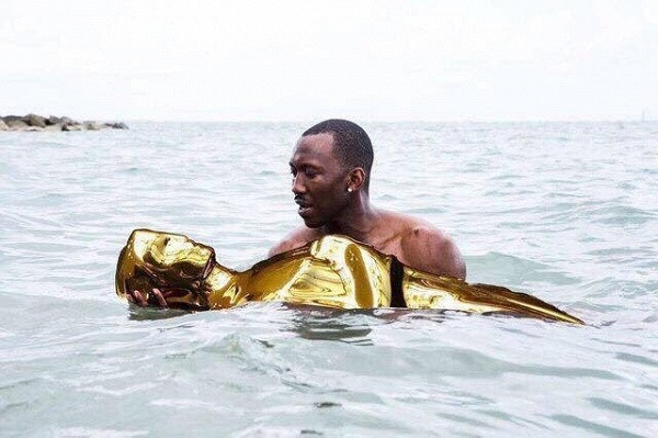 Fan lập tức chế ảnh... trao nhầm giải Oscar